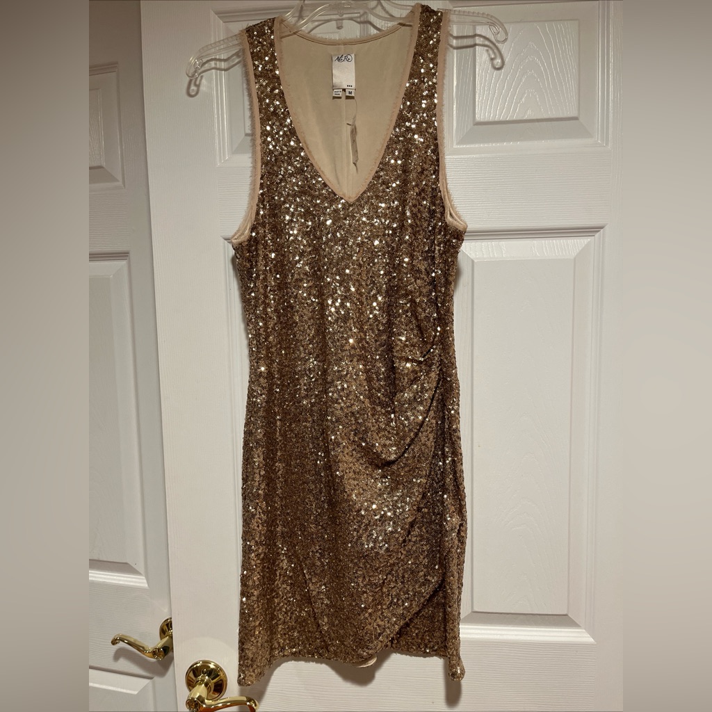 Brand New With Tags Ali Ro Sequin Dress.